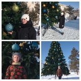 Прогулка возле ели